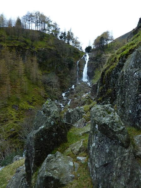 Taylorgill Force